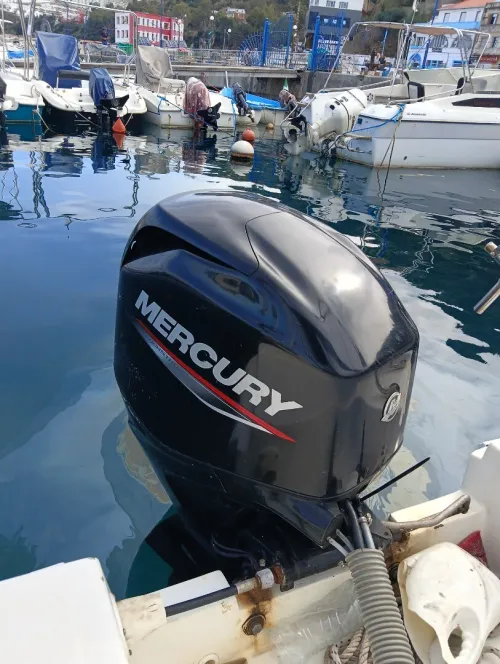 Polyor 5.20 Mercury 60 phourstroke