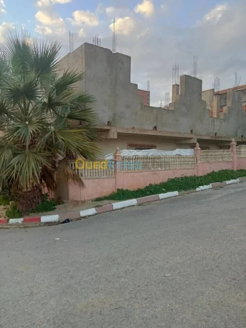Vente Immeuble Tipaza Attatba