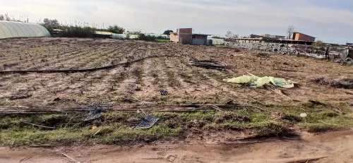 Vente Terrain Boumerdès Leghata