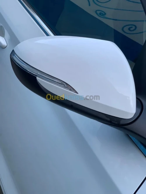 Hyundai Palisade 2023 Rb