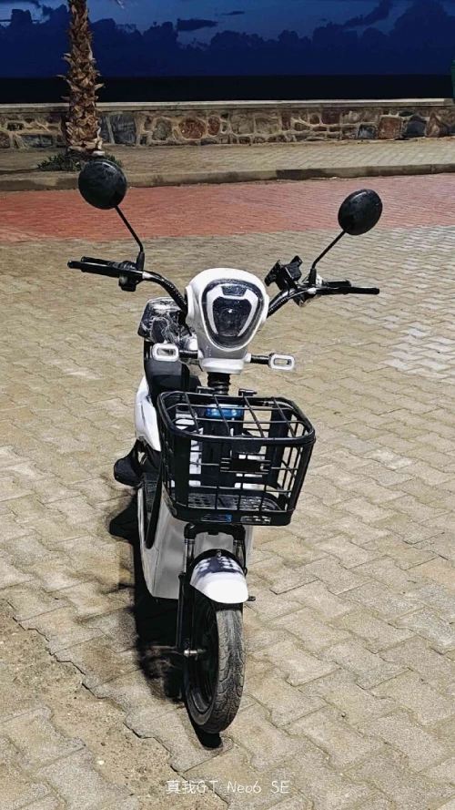 Dora Moutou électrique 2025