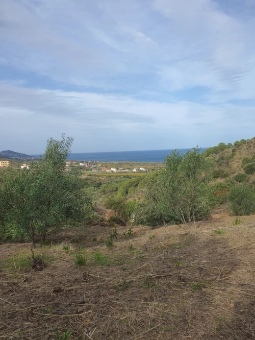 Vente Terrain Tizi Ouzou Azeffoun 5