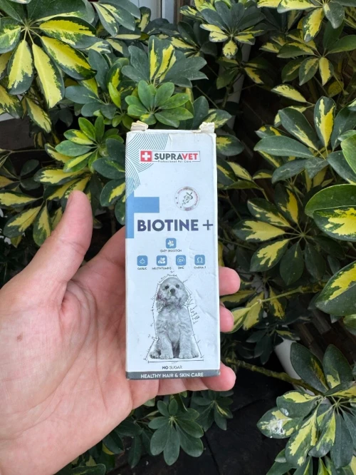 Complément alimentaire et accessoires chiens