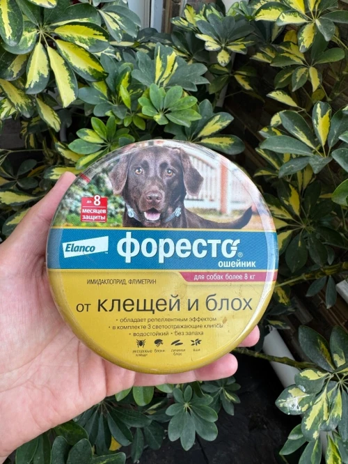 Complément alimentaire et accessoires chiens