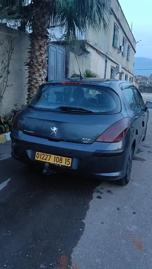 Peugeot 308 2008 
