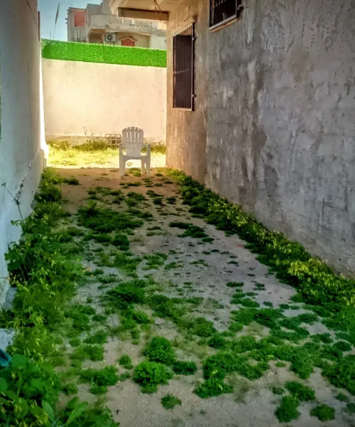 Vente Villa Boumerdès Djinet