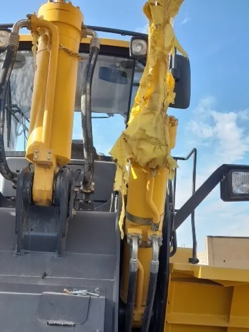 LIUGoNG 856H 2020