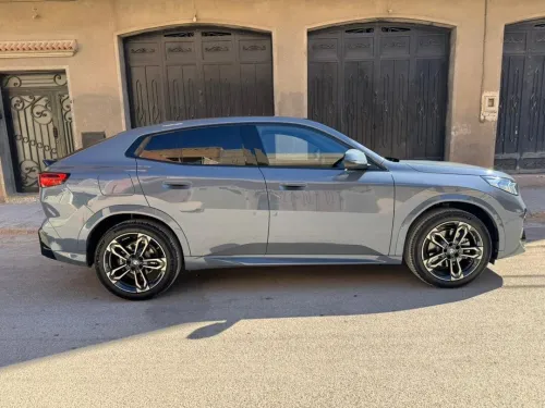 BMW X2 2026 M performance