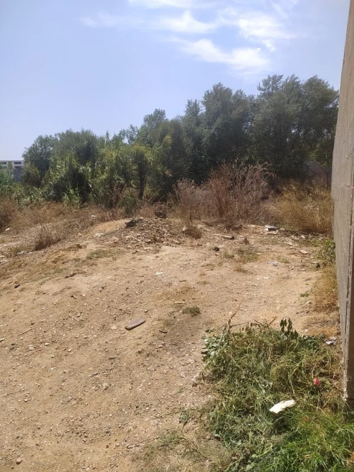 Vente Terrain Alger Reghaia