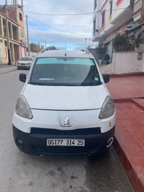 Peugeot Partner 2014 Partner