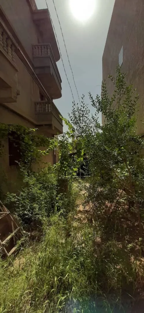 Vente Villa Alger Douera