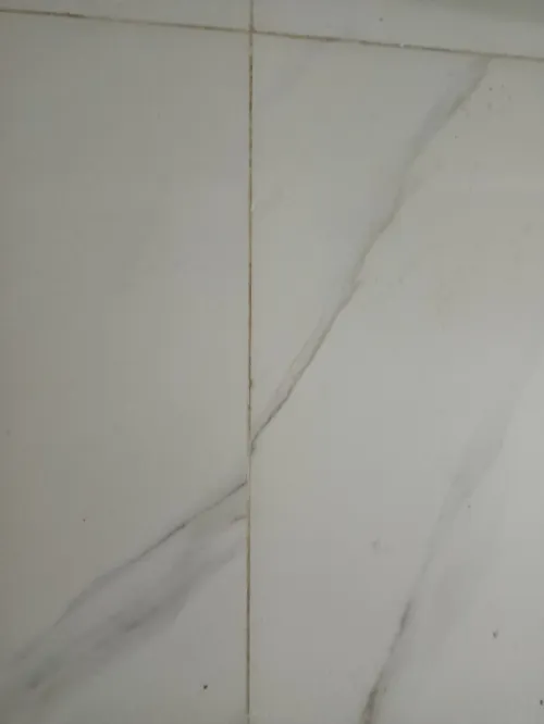 Location Appartement F2 Batna Batna