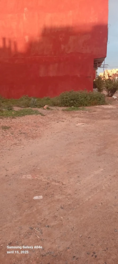 Vente Terrain Aïn Témouchent Ouled kihal