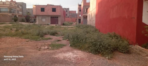 Vente Terrain Aïn Témouchent Ouled kihal