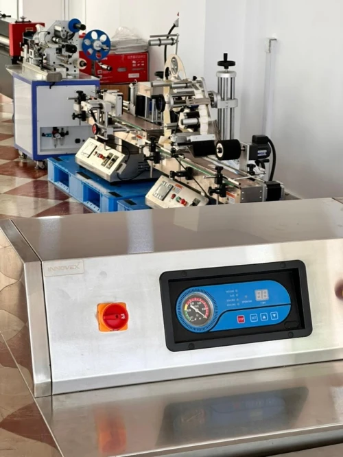 Machine Sous-vide verticale DZL600