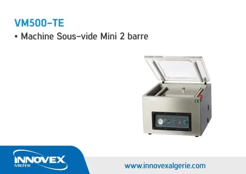Machine sous vide mini 2 barres VM500-TE
