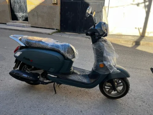 SYM fiddle 3 2025