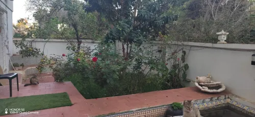 Location Appartement Duplex F5 Alger El biar