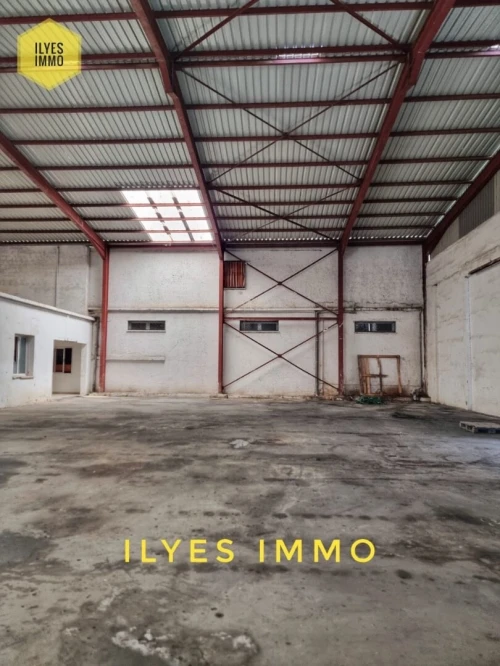 Location Hangar - Usine Sétif Setif