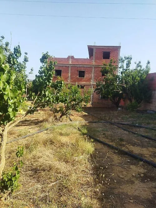 Vente Terrain Agricole Mostaganem Ain tadles