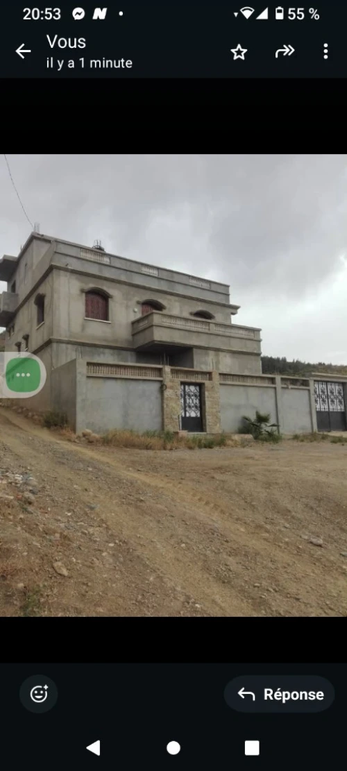 Vente Villa Blida Bouinan