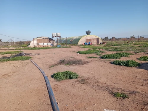 Vente Terrain Agricole Oran Misseghine