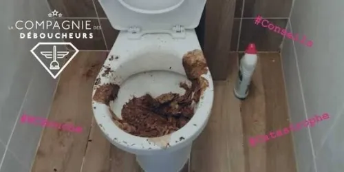 Debouchage toilette [Debouchage vidange nettoyage canalisatione [24/24] 0541444947+