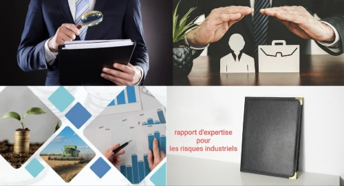 Rapport d'expertise pour les risques industriels 