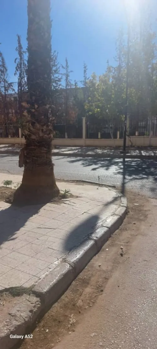 Vente Local Tiaret Tiaret