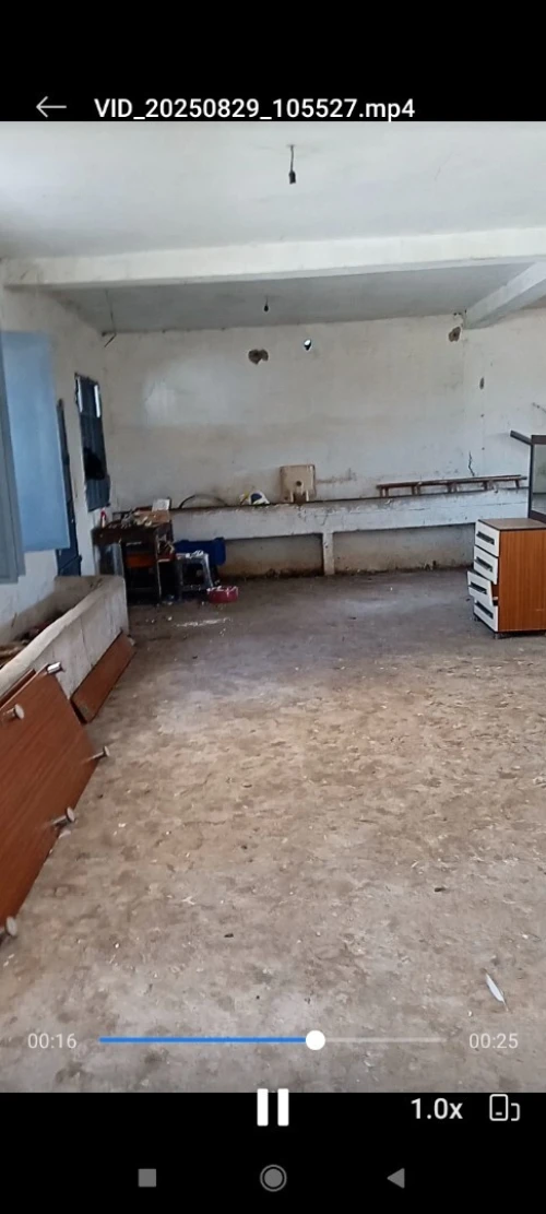 Location Local Blida Mouzaia