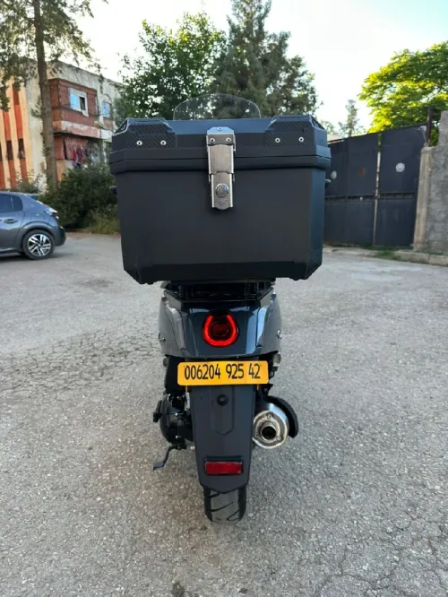 Vms Gemma 2025