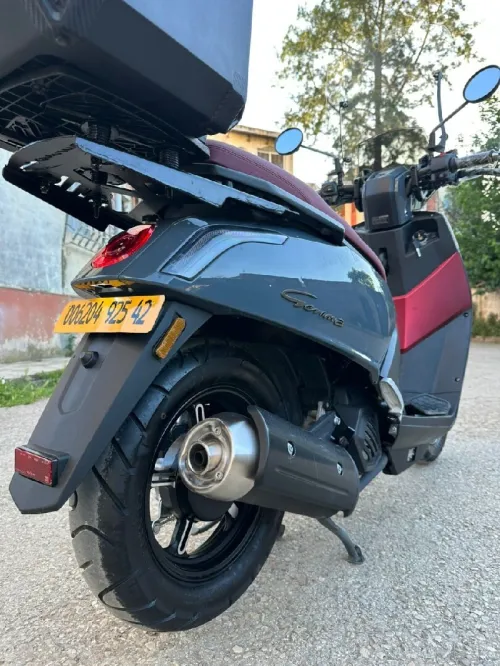 Vms Gemma 2025