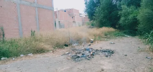 Vente Terrain Blida Larbaa