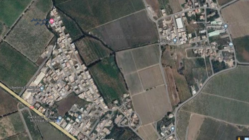 Vente Terrain Blida Larbaa