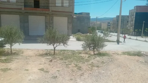 Location Local Batna Batna