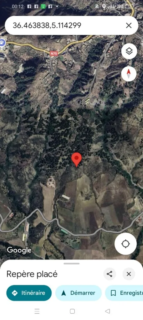 Vente Terrain Sétif Bouandas