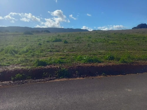 Vente Terrain Bouira Ahl el ksar