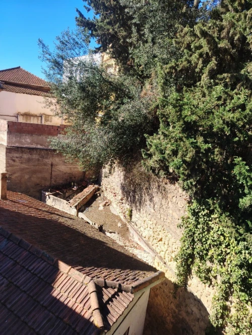 Vente Terrain Alger El biar