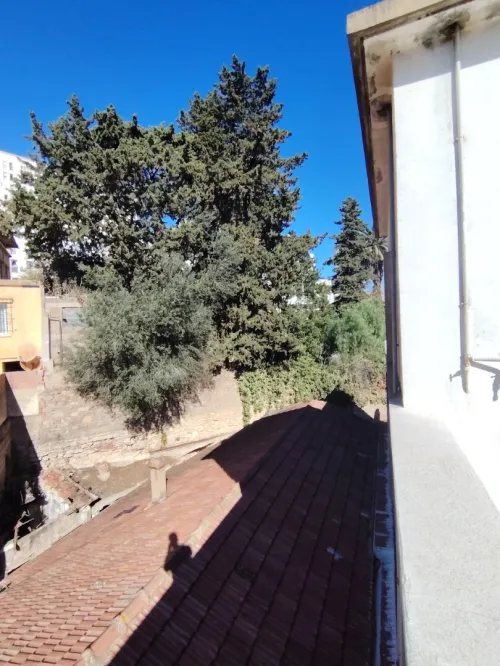 Vente Terrain Alger El biar