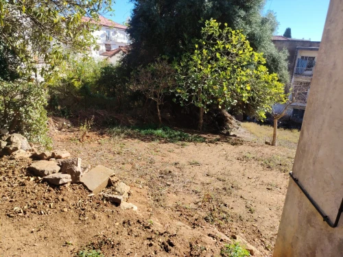 Vente Terrain Alger El biar