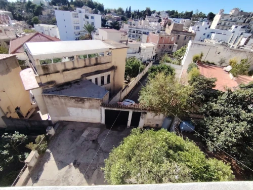 Vente Terrain Alger El biar