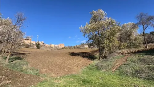 Vente Terrain Béjaïa Beni maouche