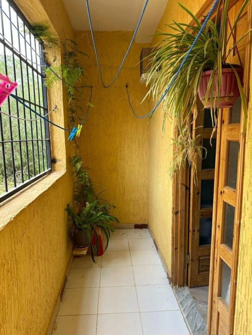 Vente Appartement F5 Chlef Chlef