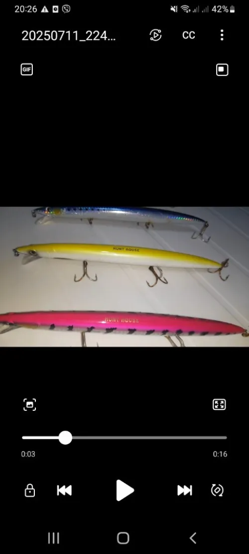 leurres de pêche spinning 