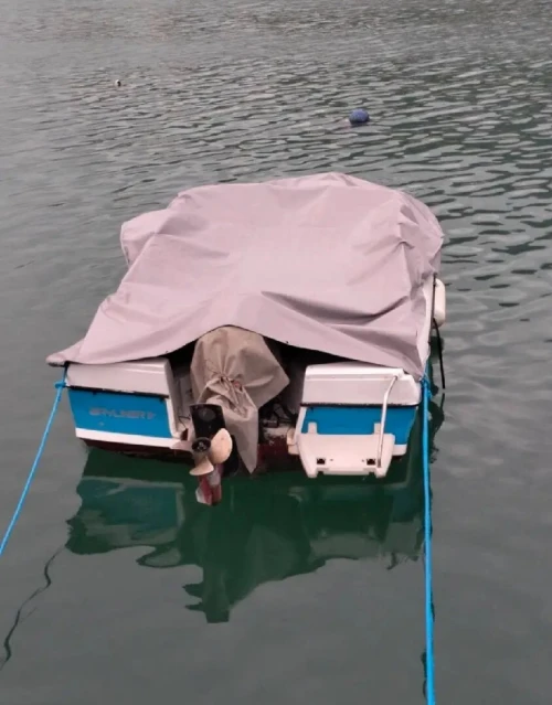 Bateau Hors-bord