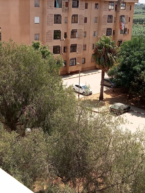 Location vacances Appartement Alger Ain taya