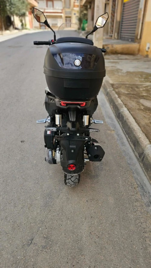 VMS XDV 2025