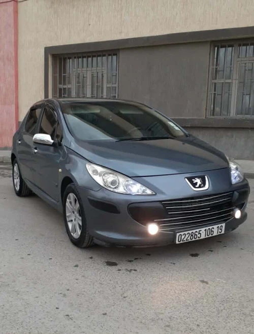 Peugeot 307 2006 Oxygo