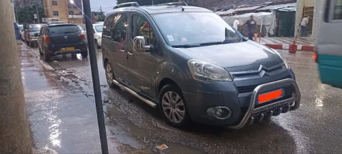 Citroen Berlingo Multispace 2010 Berlingo Multispace
