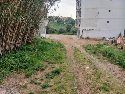 Vente Terrain Boumerdès Ouled moussa